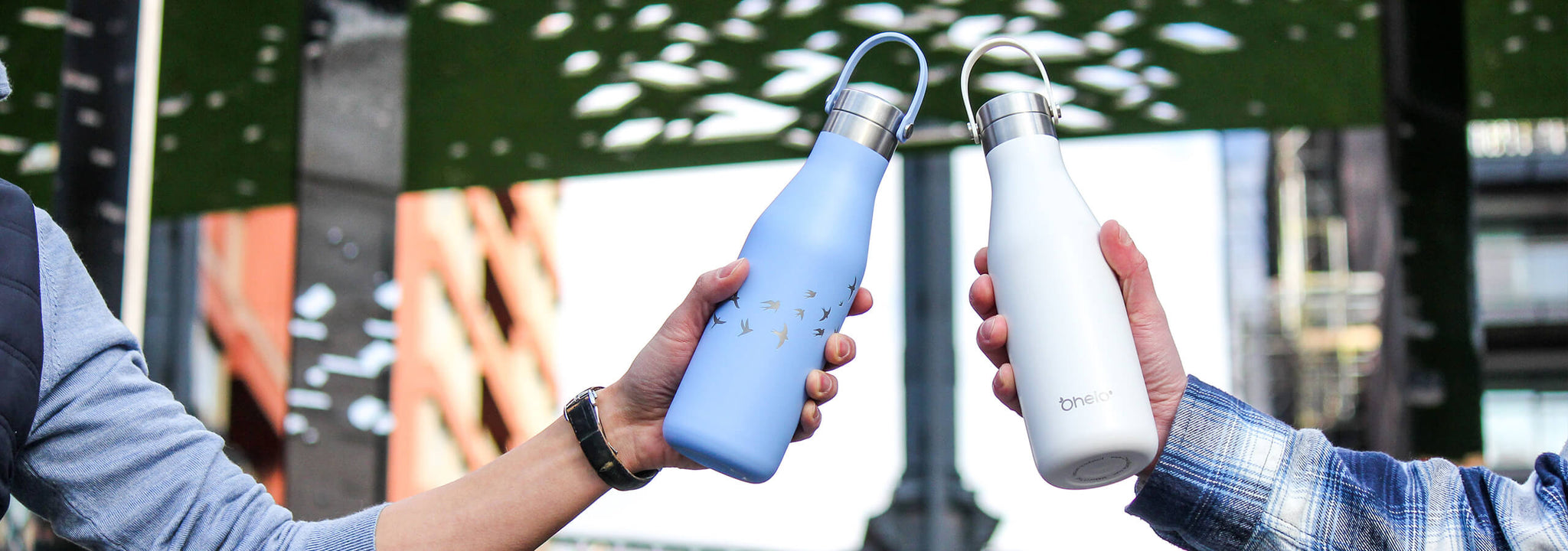 Ohelo 500ml insulated metal water bottles in blue swallows and plain white